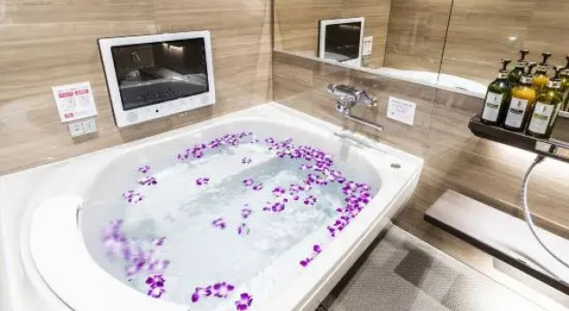 Люкс Hotel Pasela Living Shinjuku