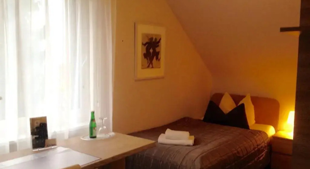 Одноместный номер Economy Hotel Sonnenhof