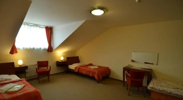Номер Standard Hotel Vion