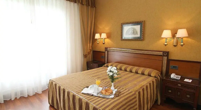 Двухместный номер Standard Hotel Begoña Park