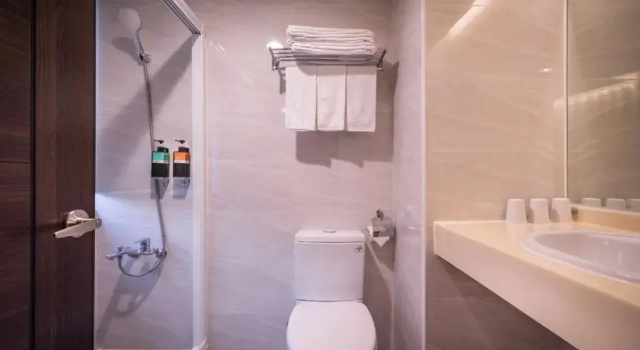 Двухместный номер Standard Felicity Business Hotel