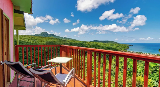 Номер Deluxe Tropical Paradise View