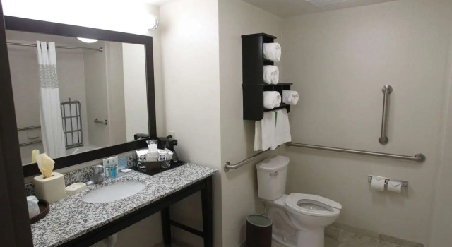Номер Standard Hampton Inn & Suites Seneca-Clemson Area