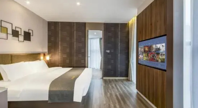 Люкс Homeinn Plus Hotel (Ziyang High-speed Railway North Station District Government)
