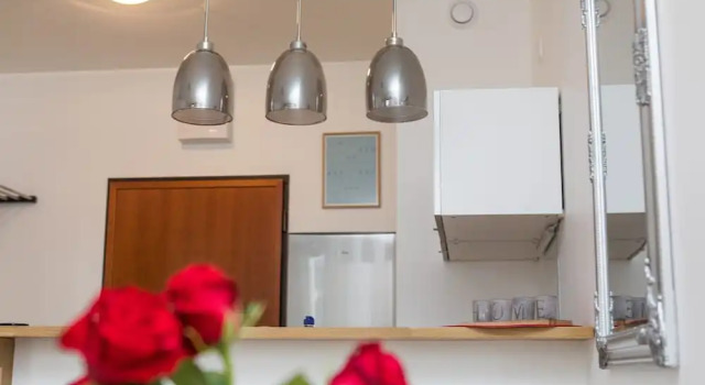 Люкс Comfort Silver Apartments - ul. Klopot