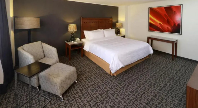 Номер Executive Holiday Inn Ciudad De Mexico-Trade Center by IHG