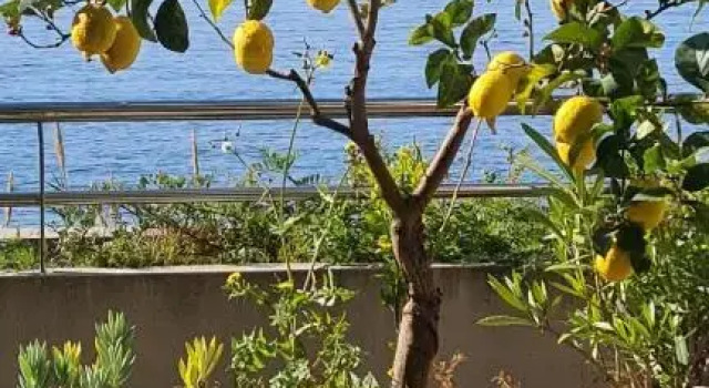 Ajaccio Splendide Vue Mer, Varaa Huoneisto Ajaccio 