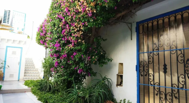 Partie de pittoresque maison en bord de mer, Book Apartment Apartments in Sousse, Apartment