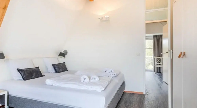 Villa in Banjaard Near Sandy North Sea Beach