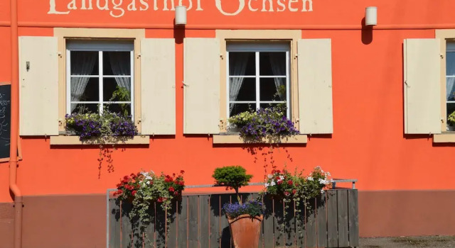 Landgasthof Ochsen Zell am Harmersbach, Reserva ahora Hotel Hoteles en Baden-Wurtemberg con desayuno, Desayunos