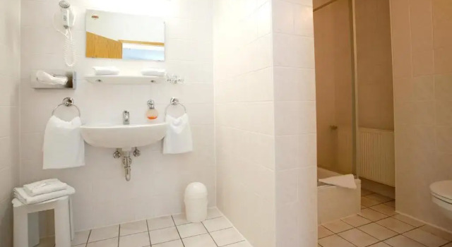 Трёхместный номер Standard Hotel Heidenschanze