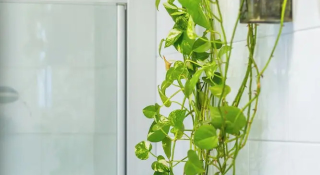 Апартаменты с видом на город Panoramic Penthouse in Naples