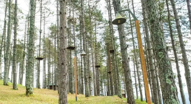 Ortel Inn, Забронировать Отель  