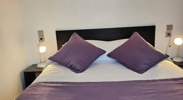 Двухместный номер Economy Hôtel du Midi