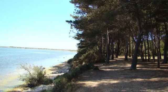 Location Villa Les Jardins De La Robine 59, 预订 别墅 维克拉加尔迪奥勒 Hérault