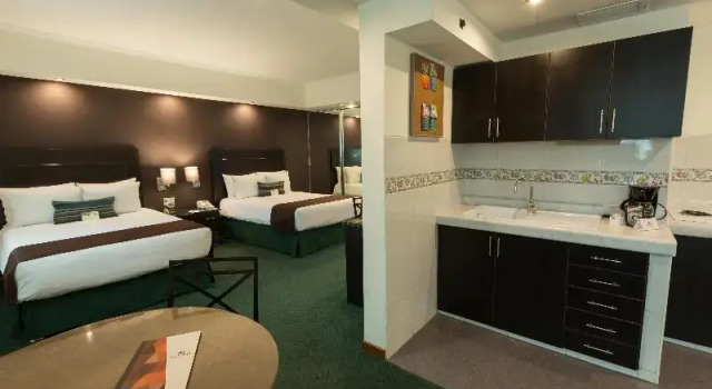Двухместный номер Deluxe El Polo Hotel & Suites