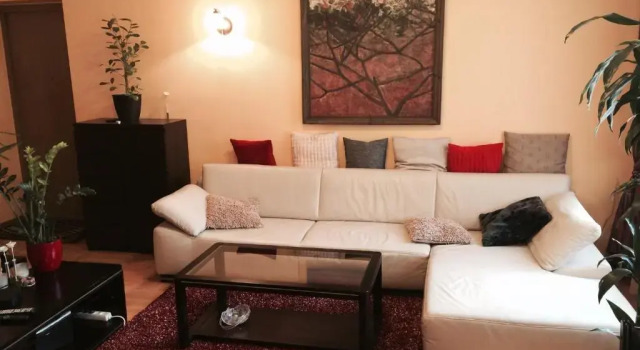 Luxury Dana's City Centre Apartment, Prenota Appartamento Kaunas Contea di Kaunas
