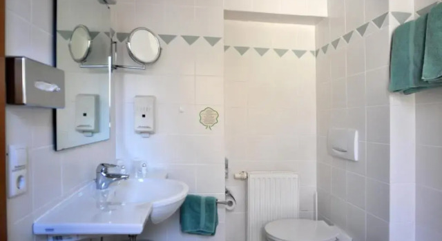 Двухместный номер Standard Hotel Alpenblick Garni