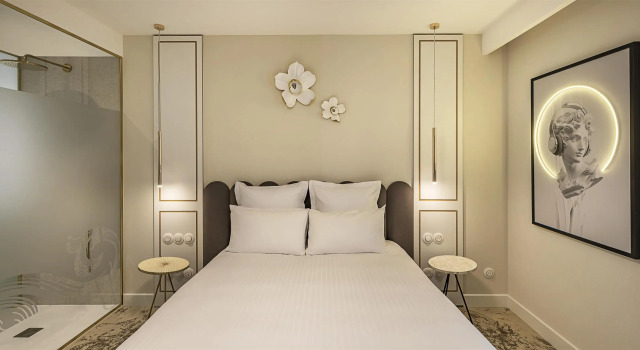 Двухместный номер Superior Best Western Plus Hotel Saint-Roch Orleans
