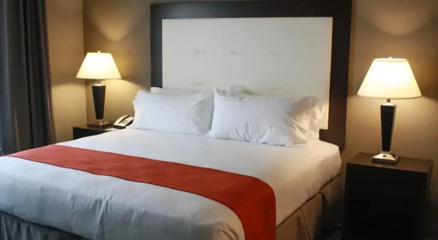 Люкс Holiday Inn Hotel & Suites Davenport by IHG