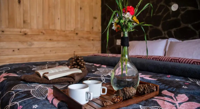 Forest Escape Cottages