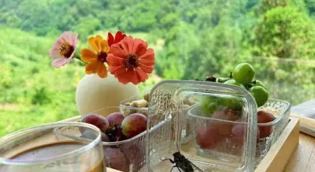 Yunqi Yougu Private Tang Homestay Ya'an Bifengxia Branch, Book Hotel Hoteller i Ya'an med pool, Swimmingpool