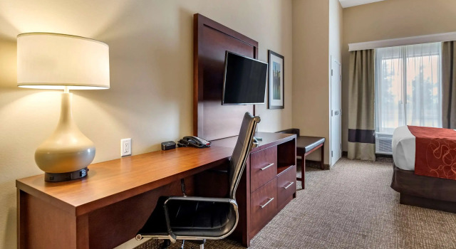 Двухместный люкс Comfort Suites Kyle