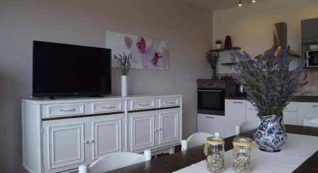 Апартаменты Apartment Branka