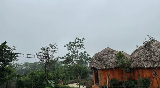 Четырёхместный номер Standard King Bavi Resort