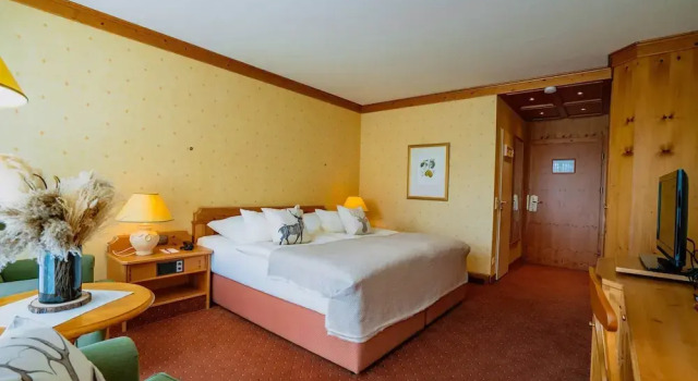 Двухместный номер Classic с видом на парк revita - naturresort & spa