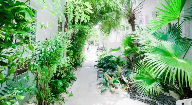 PRAIA Boutique Hotel 6min Miami Beach 25