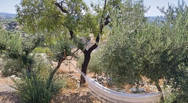 Коттедж с 3 комнатами El Almendro de Fuentes Nuevas