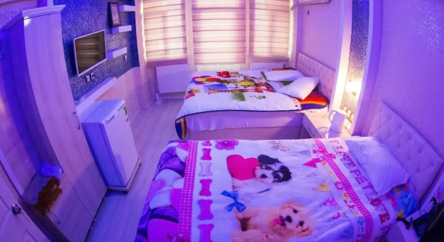 Номер Standard Grand Derya Otel