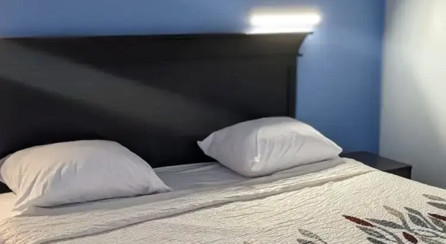 Номер Comfort Budget Inn Alexandria