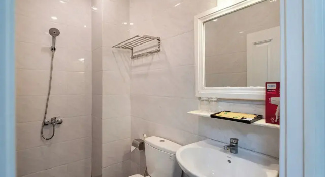 Студия Deluxe Lotus Hotel