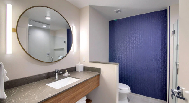 Двухместный люкс c 1 комнатой Fairfield Inn & Suites by Marriott Dallas Cedar Hill