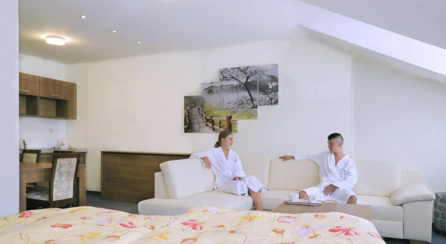 Horský hotel Remata, Rezervovat Hotel Wellness hotely v Trenčiansky kraj, SPA