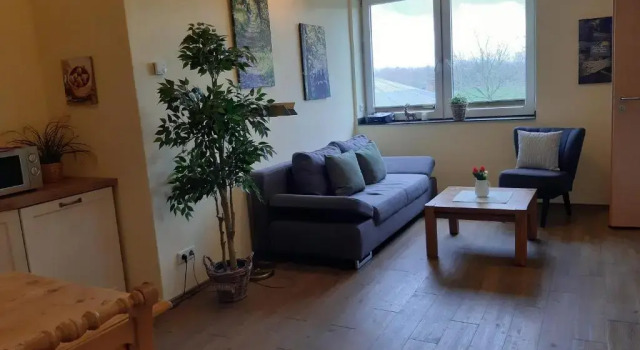 Апартаменты c 1 комнатой Apartments Luisenhof