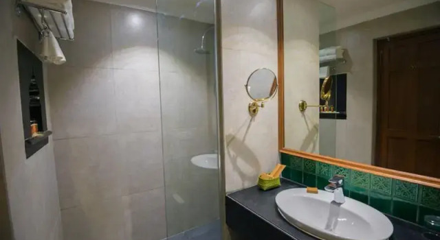Люкс Standard Svatma - A Luxury Heritage Resort