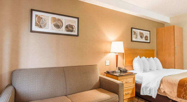Двухместный номер Standard Comfort Inn
