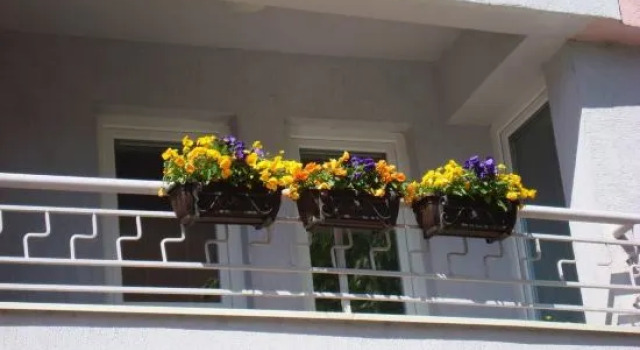 Apartments Nela