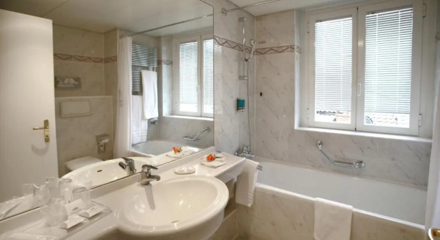 Двухместный номер Standard с балконом и с видом на озеро Hotel Lido Seegarten