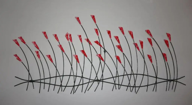 Апартаменты Lovely Nature