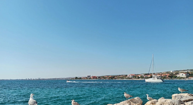 Апартаменты Oldtown Apartment Apola 2