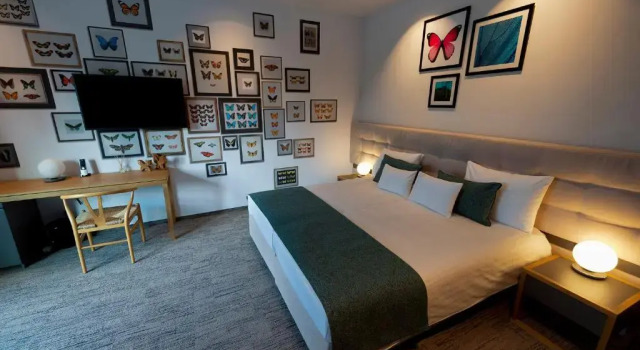Номер Standard Donautica Hotel & Restaurant
