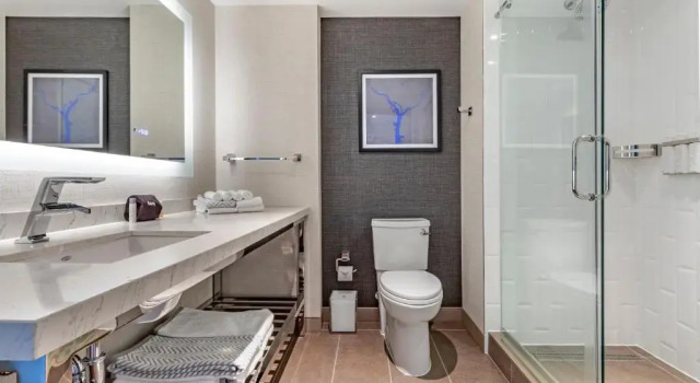Номер Deluxe Cambria Hotel Washington DC Navy Yard Riverfront