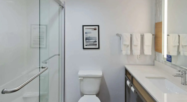 Двухместный люкс c 1 комнатой Hilton Garden Inn Birmingham SE/Liberty Park