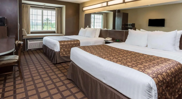 Четырёхместный номер Standard Microtel Inn & Suites by Wyndham Jacksonville Airport
