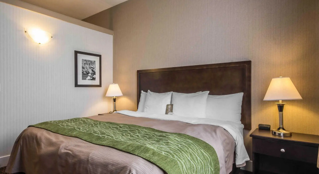Двухместный номер Standard Comfort Inn & Suites Surrey