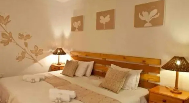 Номер Standard Woodpecker Inn